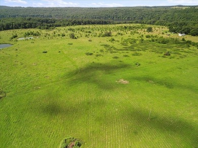 99 Acres M/L in Ozark County, MO - Borders 2,500+ Acres of - photo 34