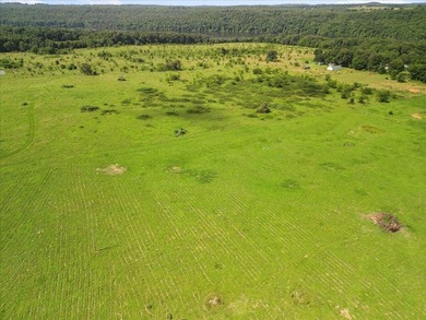99 Acres M/L in Ozark County, MO - Borders 2,500+ Acres of - photo 35