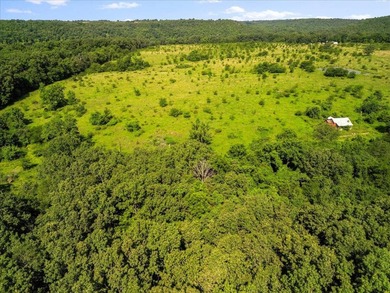 99 Acres M/L in Ozark County, MO - Borders 2,500+ Acres of - photo 36