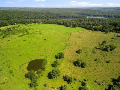 99 Acres M/L in Ozark County, MO - Borders 2,500+ Acres of - photo 38