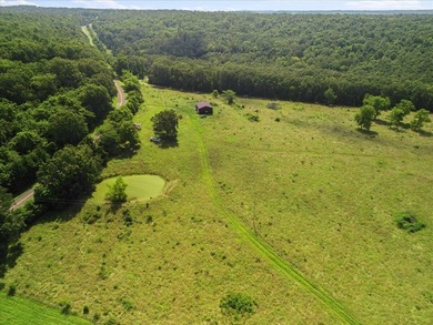 99 Acres M/L in Ozark County, MO - Borders 2,500+ Acres of - photo 41