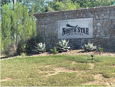 Lake Bridgeport Lot For Sale in Chico Texas