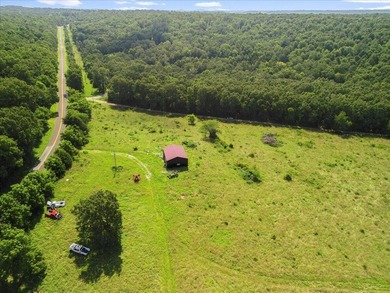 99 Acres M/L in Ozark County, MO - Borders 2,500+ Acres of - photo 42