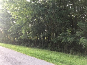 Unit 8, Lots 178, 179, 180 - Lake Lot For Sale in Mount Gilead, Ohio
