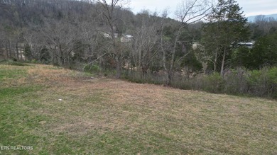 Beautiful 1.73-acre lot at the lake with 420 FEET OF - photo 12