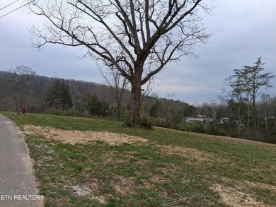 Beautiful 1.73-acre lot at the lake with 420 FEET OF - photo 17