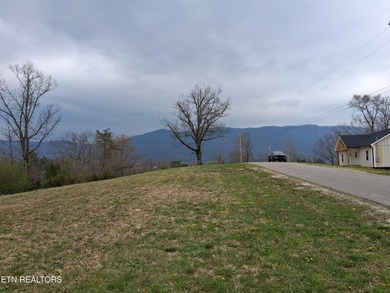 Beautiful 1.73-acre lot at the lake with 420 FEET OF - photo 19