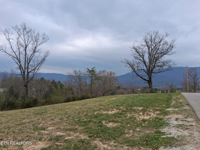 Beautiful 1.73-acre lot at the lake with 420 FEET OF - photo 21