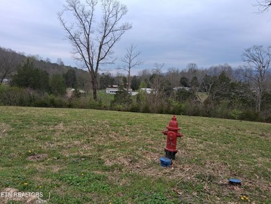Beautiful 1.73-acre lot at the lake with 420 FEET OF - photo 22