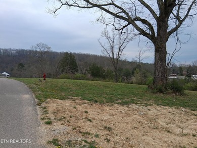 Beautiful 1.73-acre lot at the lake with 420 FEET OF - photo 24