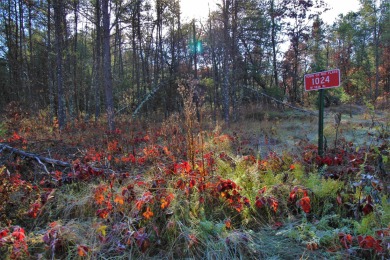 Lake Lot Off Market in Arkdale, Wisconsin