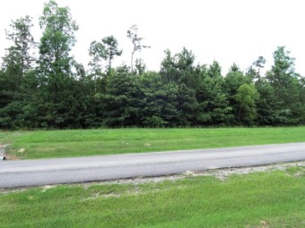 Lake Lot SOLD! in Double Springs, Alabama