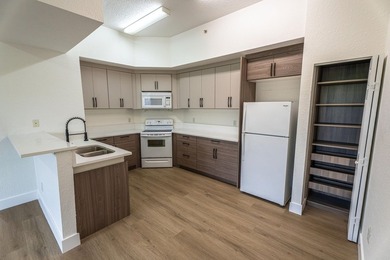 Fully remodeled apartment featuring top-of-the-line custom - photo 4