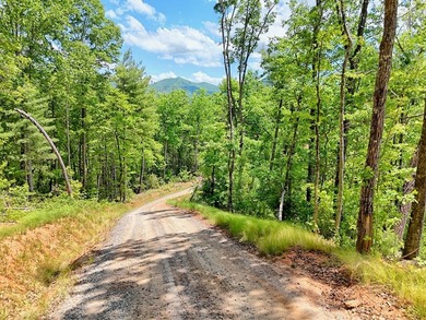 Discover your mountain paradise in the desirable Bryson Creek - photo 11