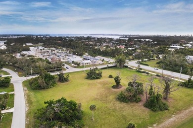 PRICE IMPROVEMENT! Triple prime commercial parcel in the heart - photo 11