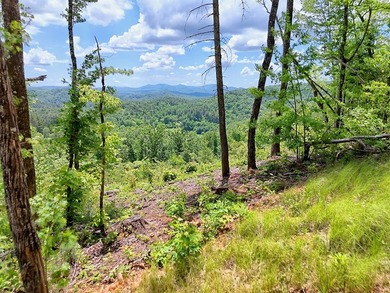 Discover your mountain paradise in the desirable Bryson Creek - photo 12