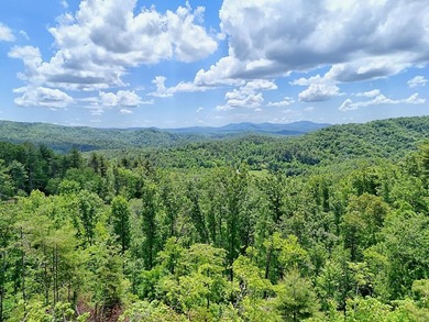 Discover your mountain paradise in the desirable Bryson Creek - photo 14