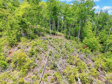 Discover your mountain paradise in the desirable Bryson Creek - photo 15