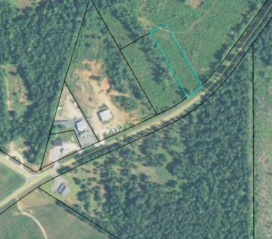 Great one acre commercial lot for sale in Hancock County - Lake Commercial For Sale in Sparta, Georgia
