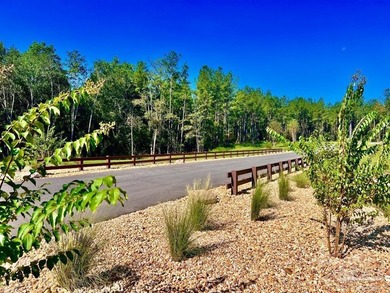 Discover the beauty of NatureWalk at Pond Creek. This charming - photo 29
