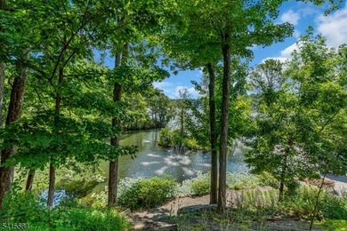 2.52 Acre Lakefront Estate! Renovated, Expanded Ranch with - photo 44