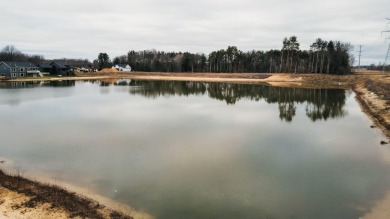 (private lake, pond, creek) Lot For Sale in Hudsonville Michigan