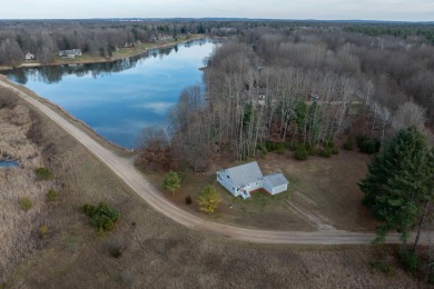 Lake Home For Sale in Stanwood, Michigan