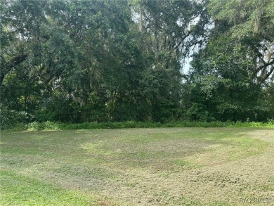 Lake Lot For Sale in Hernando, Florida