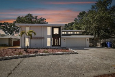 Lake Home For Sale in St. Petersburg, Florida