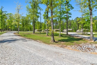 Maximize your ROI at The Cabins of Lay Lake at Beeswax. This - photo 20