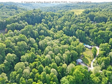 QUIET COUNTRY SERENITY IS CALLING!! 9+/- acres in Sod, WV*Escape - photo 45