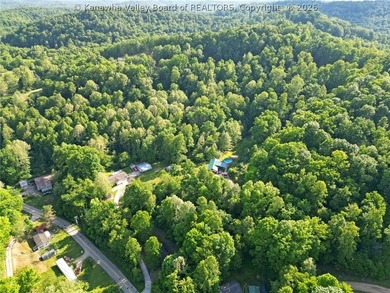 QUIET COUNTRY SERENITY IS CALLING!! 9+/- acres in Sod, WV*Escape - photo 47