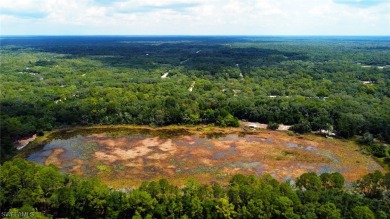 (private lake, pond, creek) Lot For Sale in Webster Florida