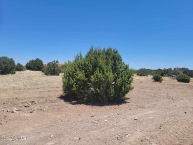 Lake Lot For Sale in Show Low, Arizona