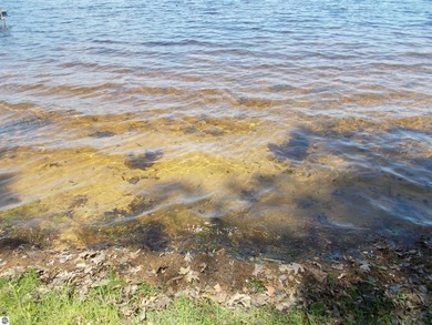 Now is your chance to have an affordable cottage on the lake. No - photo 4