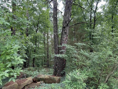 Two beautiful wooded lots located in the heart of Heber Springs! - photo 2