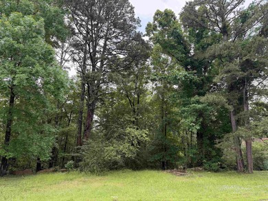 Two beautiful wooded lots located in the heart of Heber Springs! - photo 3