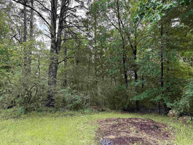 Two beautiful wooded lots located in the heart of Heber Springs! - photo 4