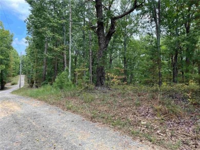 Lake Lot For Sale in Ranger, Georgia