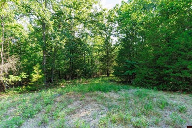 This is a fantastic opportunity, featuring 20 wooded lots - photo 15