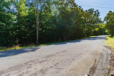 This is a fantastic opportunity, featuring 20 wooded lots - photo 19