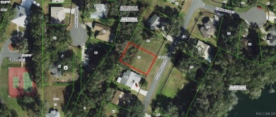 Lake Lot For Sale in Hernando, Florida