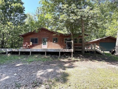 Lake Home For Sale in Backus, Minnesota