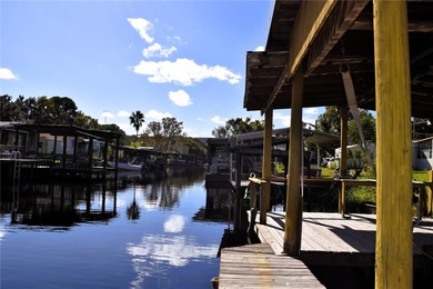 Lake George Home For Sale in Seville Florida