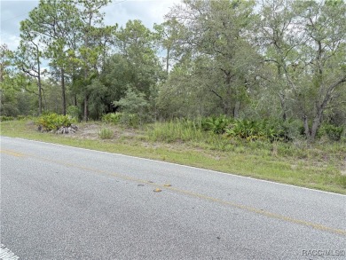 (private lake, pond, creek) Lot For Sale in Weeki Wachee Florida