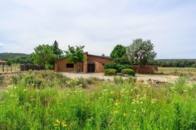 Rare Ranchette with an Adobe Residence, Guest Home & Water - photo 42