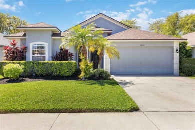 Lake Home For Sale in Odessa, Florida