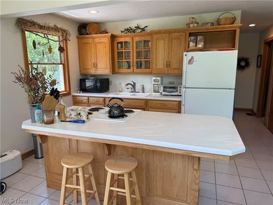 Being Sold TURNKEY! When you walk through the front door your - photo 15
