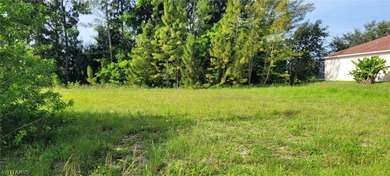 Freshwater canal lot!!! Are you looking to build your dream - photo 2