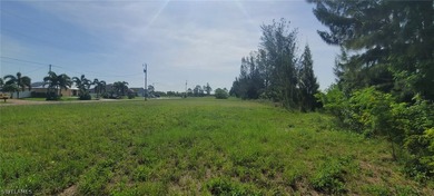 Freshwater canal lot!!! Are you looking to build your dream - photo 3